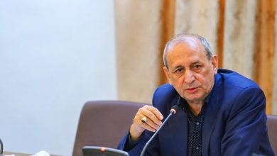 شفیعی: امنیت پایدار پشتوانه استمرار تولید و تأمین امنیت غذایی است